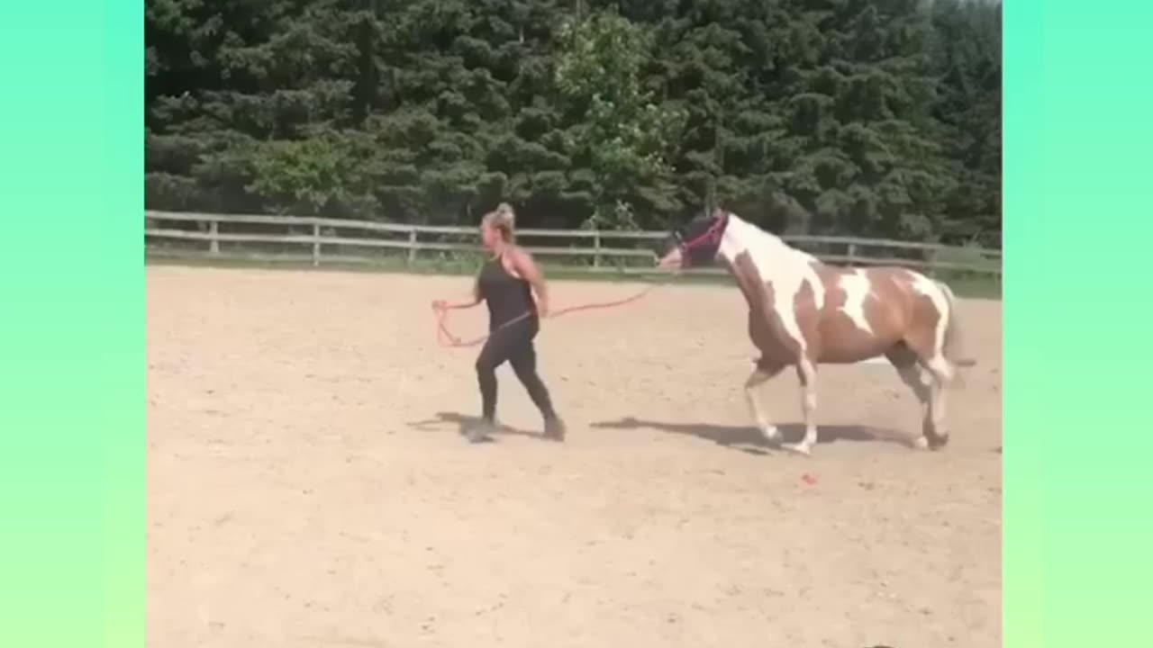 Funny videos for laughs 🤣😂