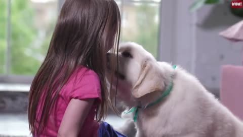 9 Ways to Tell Your Dog You Love Them important message