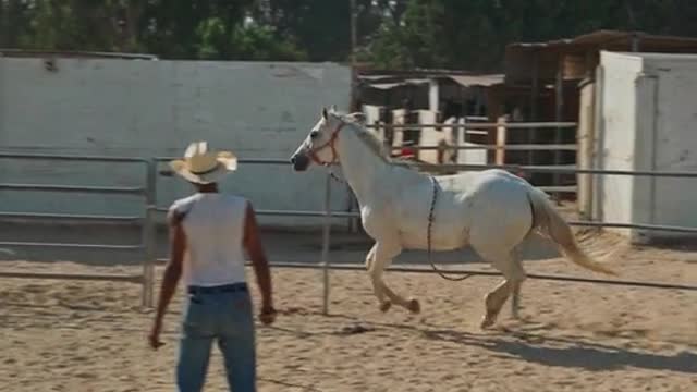 Horse riding