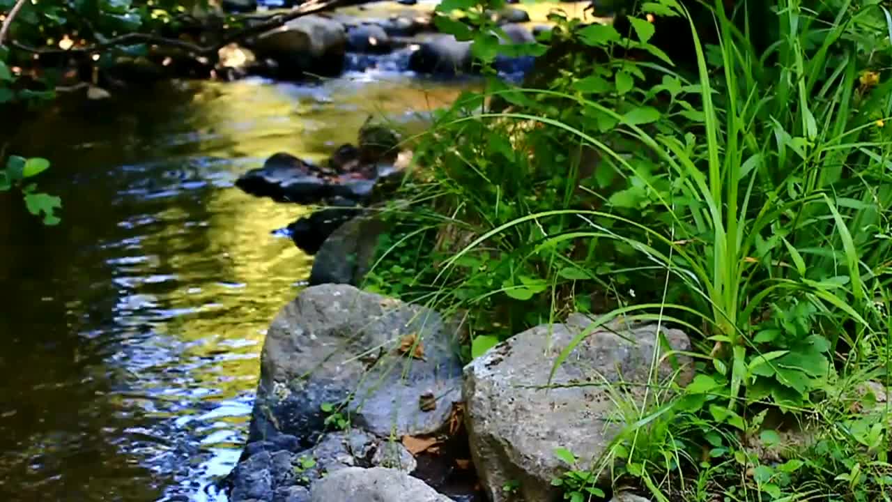 Relaxing Music, Healing Music, Meditation Music