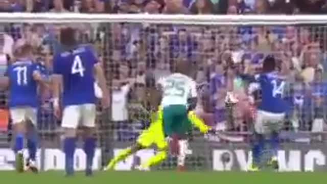 Community Shield Final . Leicester city vs Manchester city 1-0 Goal and highlight .