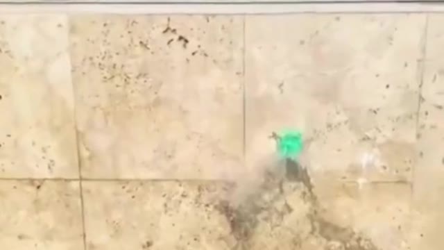 GLOBOS DE AGUA REUTILIZABLES!🎈💦