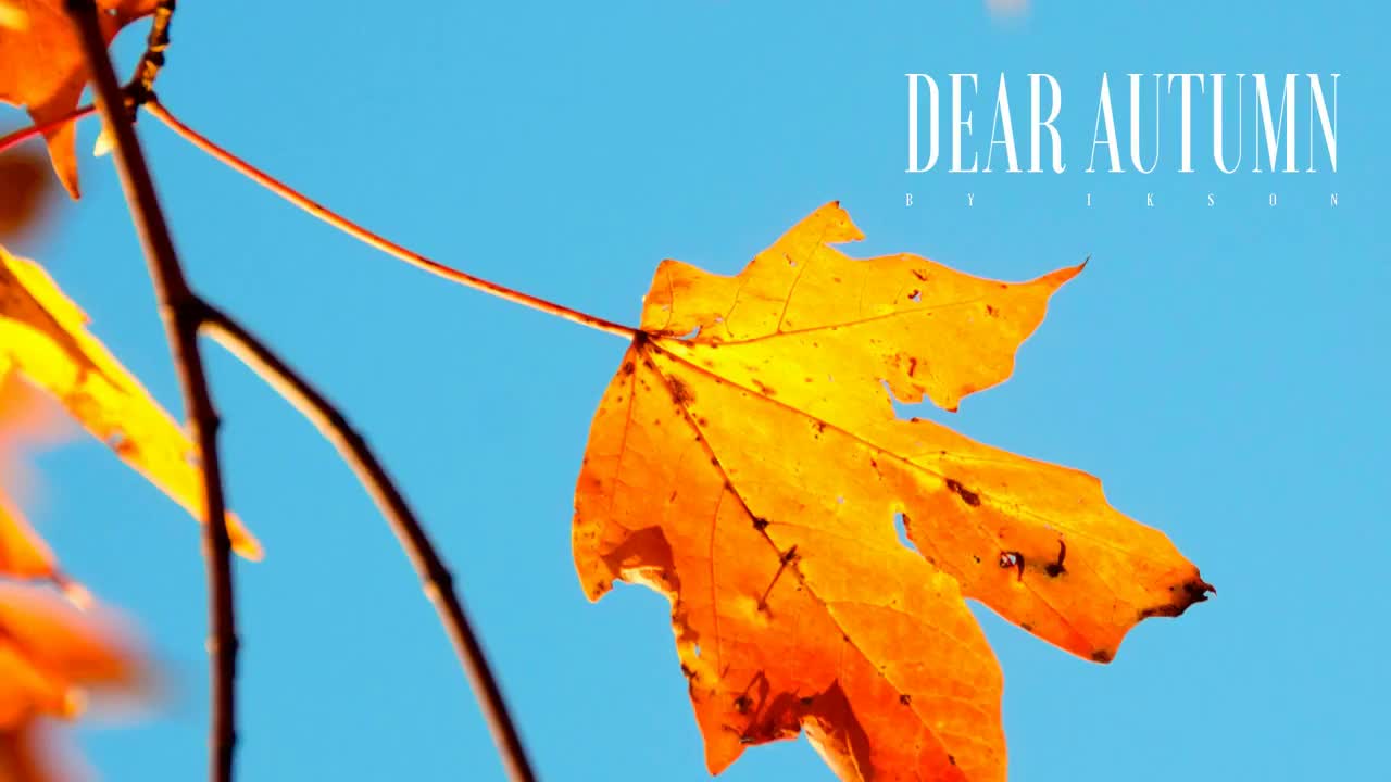 #84 Dear Autumn (Official)