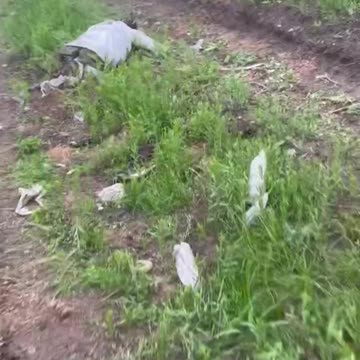 Russians Becoming One with the Roadside