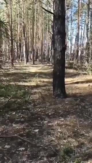 Footage of one of the clashes in the Kyiv region