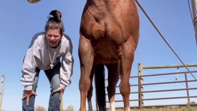 Trying to very carefully dismount your horse in