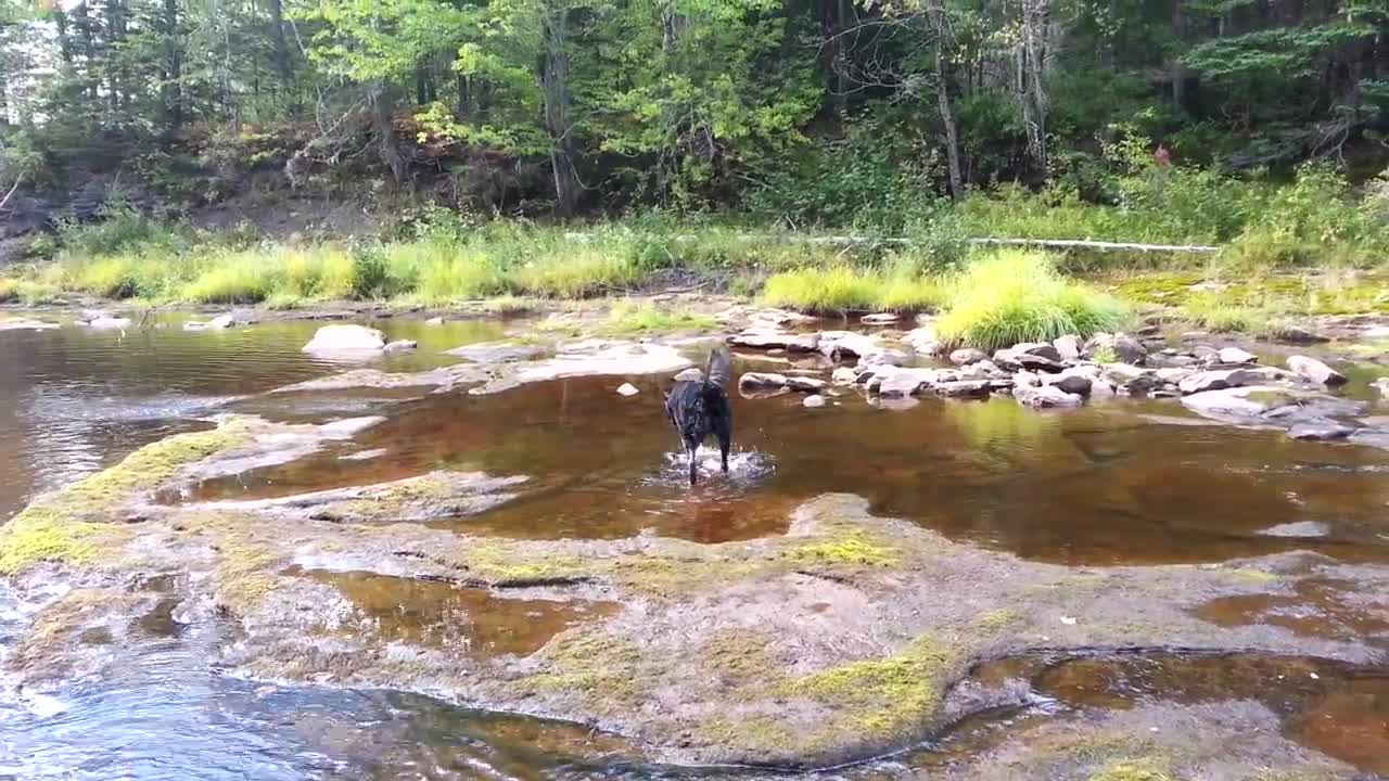 Magnum in water September 24, 2016(5)