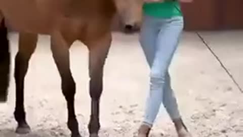Horse Mimicking Human