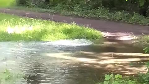 water comes from below