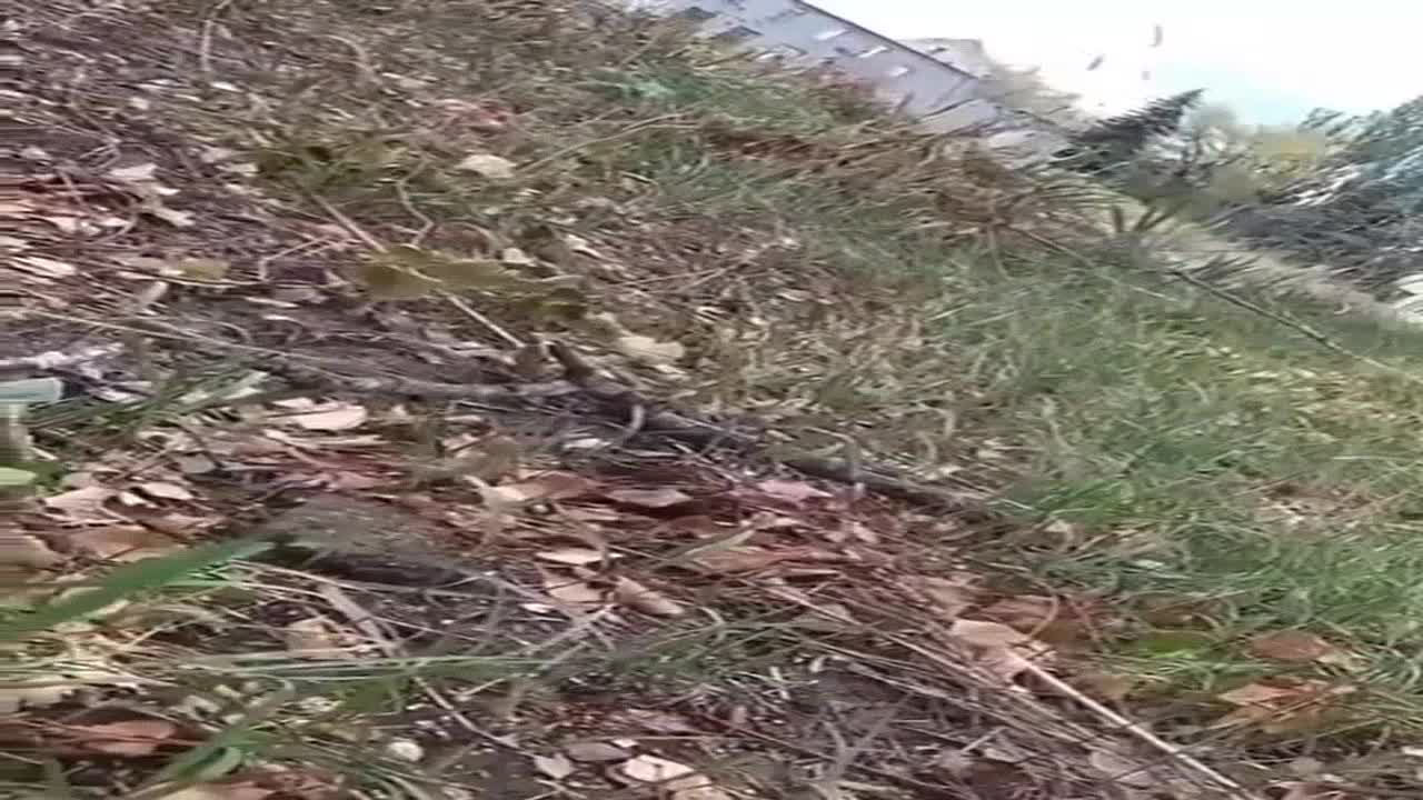 Images de combats de rue récents à Visokopyla, dans la région de Kherson.