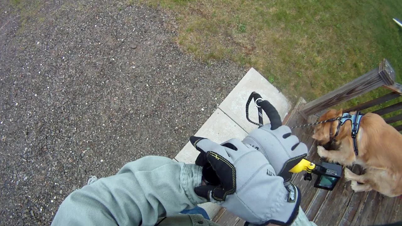 June 23rd, 59º We see a young deer crossing road about 6:45 into video