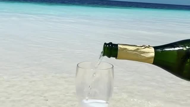 Suddenly comes shark in Slow motion dropping beer in the glass