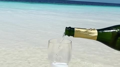 Suddenly comes shark in Slow motion dropping beer in the glass