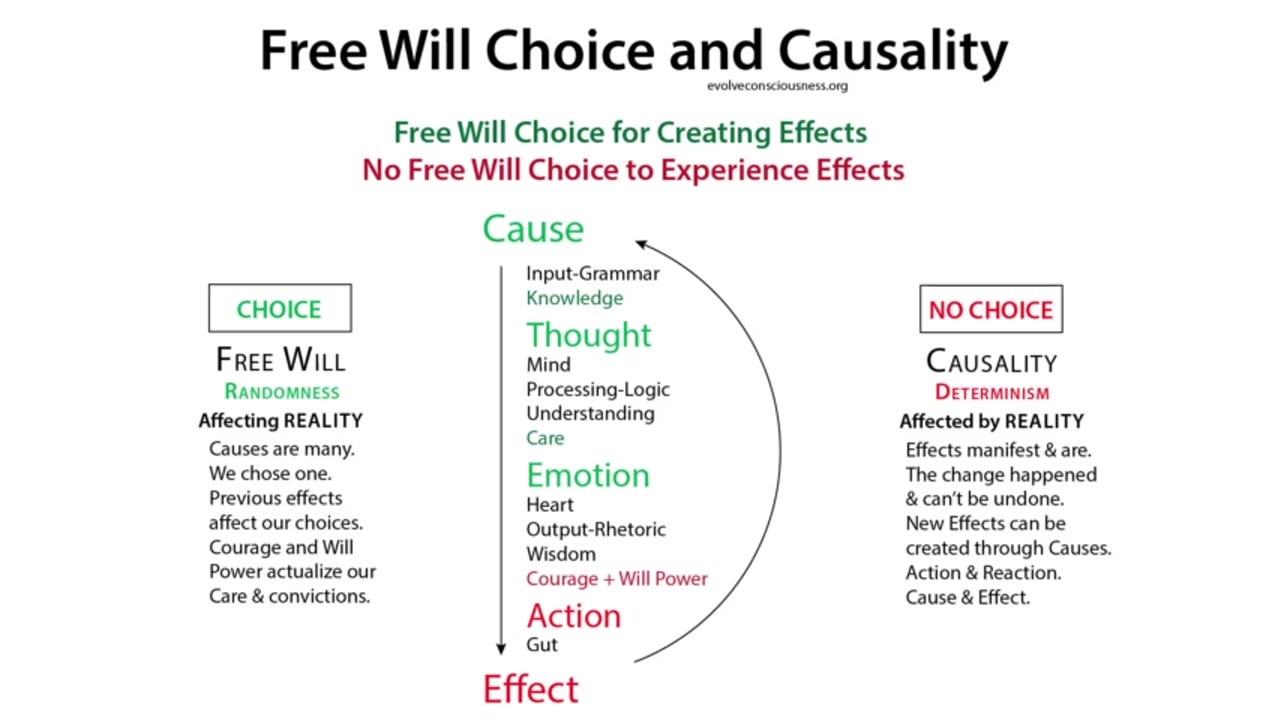 Causality, Consciousness, Natural Law and the Trivium Method