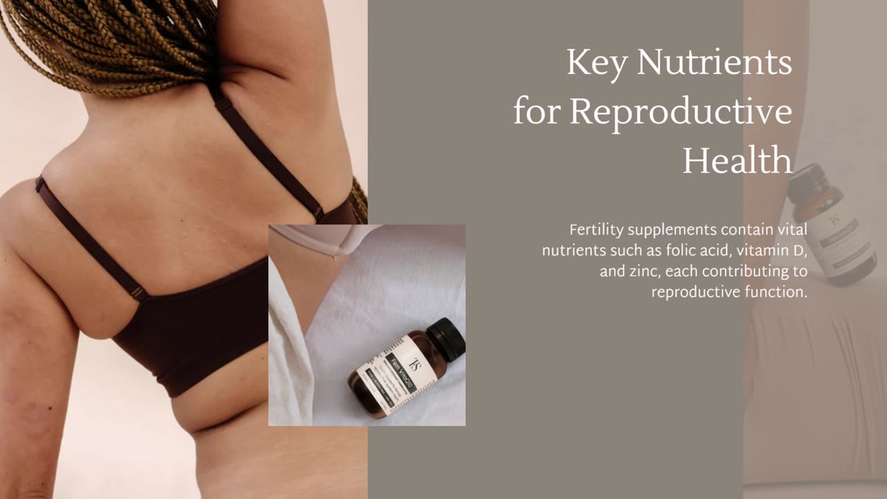 The Fertility Supplements