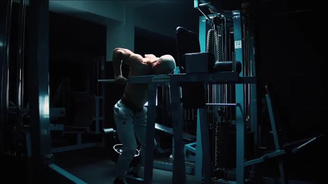 Triceps dips workout arms fitness MB