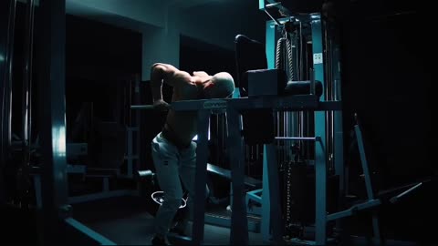 Triceps dips workout arms fitness MB