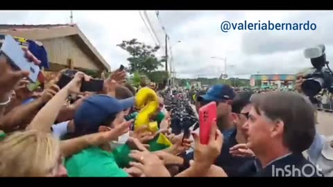 Bolsonaro Perde pra todos