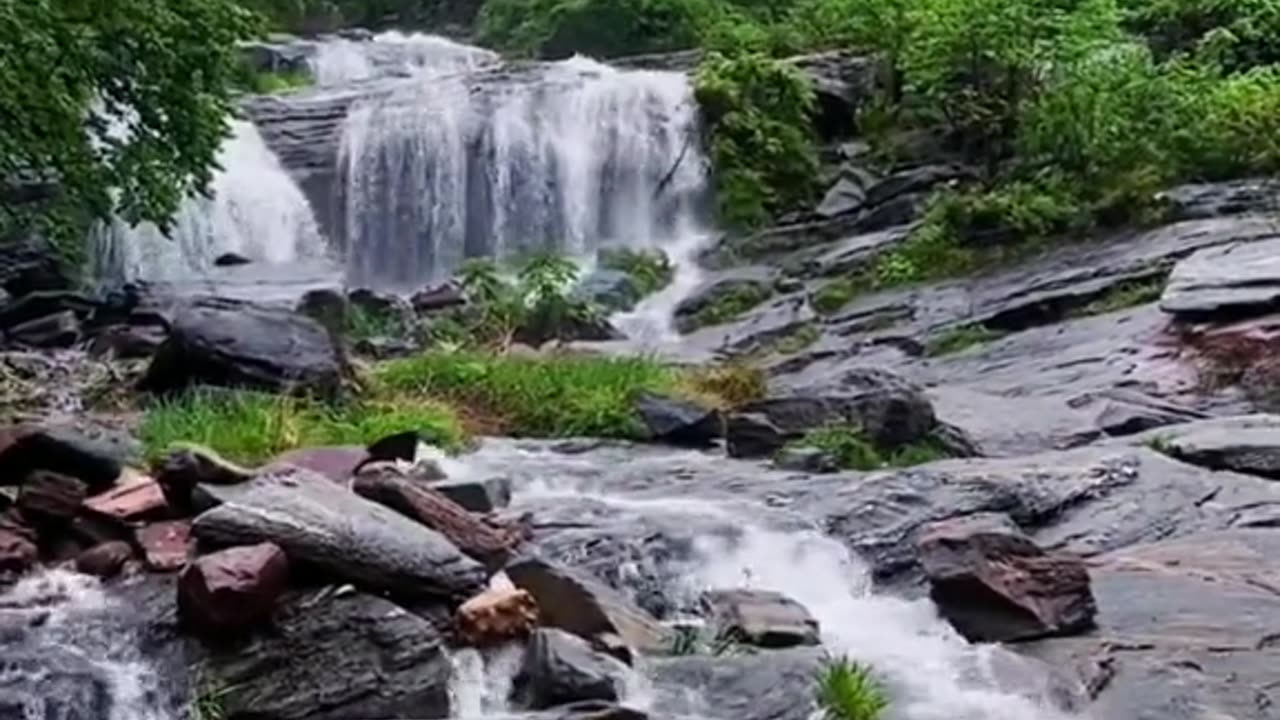 Beautiful short video scenery