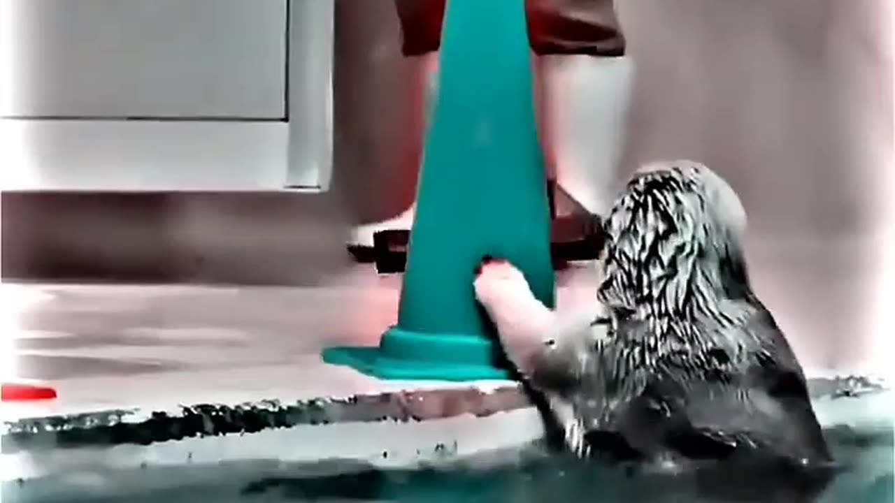 Cute Helper