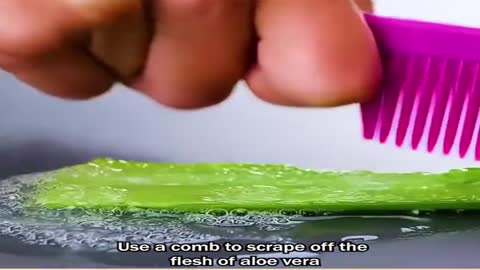 The amazing uses of aloe vera
