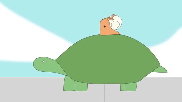 The snail who says yes