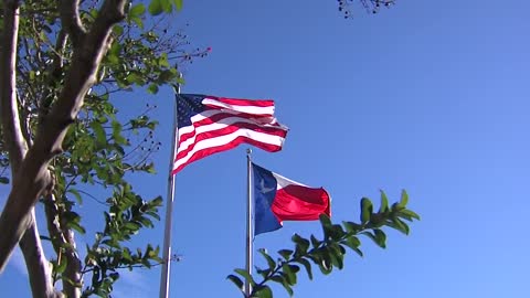 Flags blowing in the wind