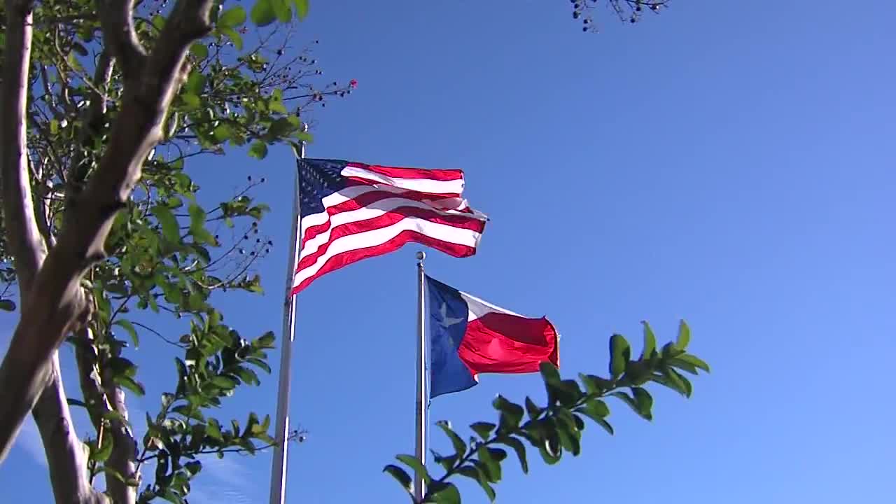 Flags blowing in the wind