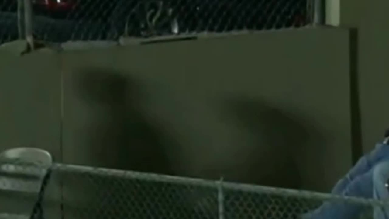No look shot