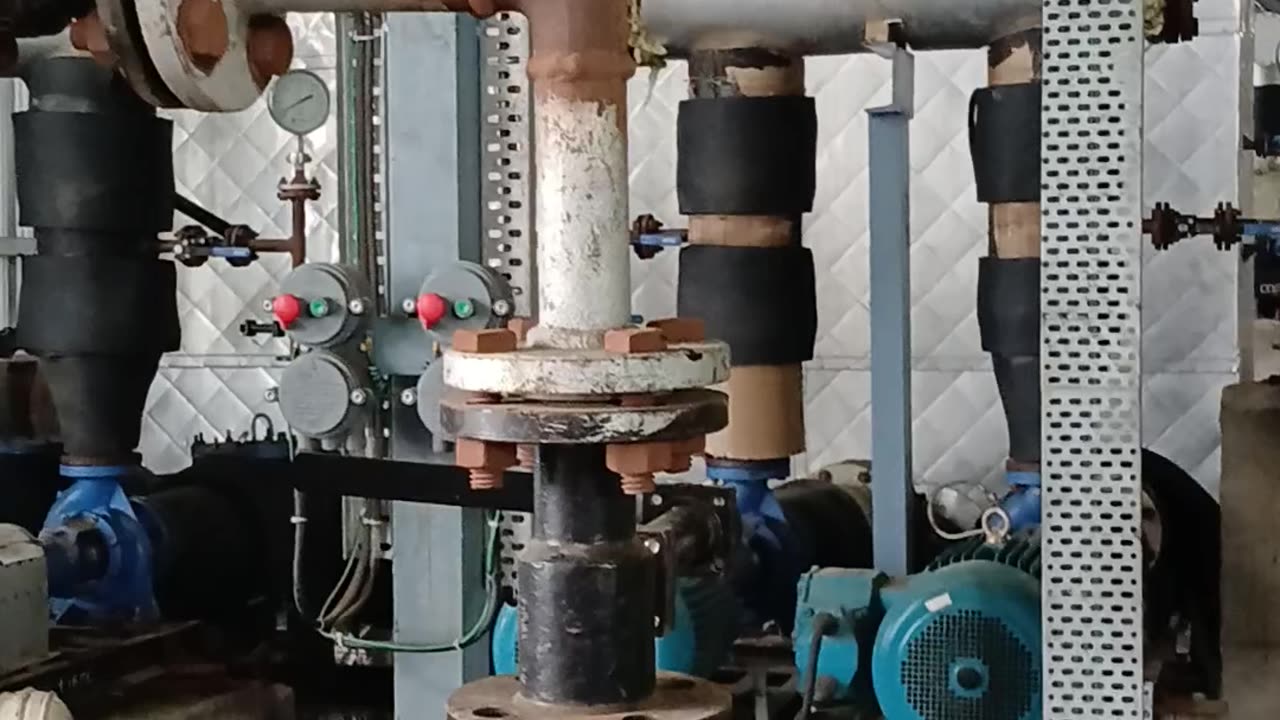 This my job