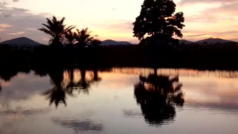 Sunset Scenery in Kedah , Malaysia