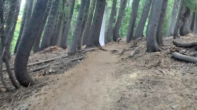 Central Oregon - NOT a Creek Crossing, a “Trickle Crossing”