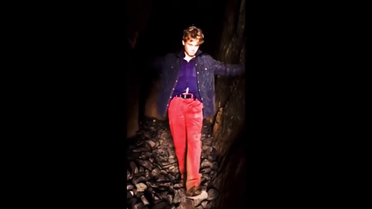 Swan's Reflection by Eli Sol