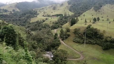 Colombia