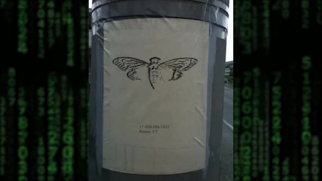 TRUE Story "The Man that WORKED For CICADA 3301" Anonymous Man's Eerie Story