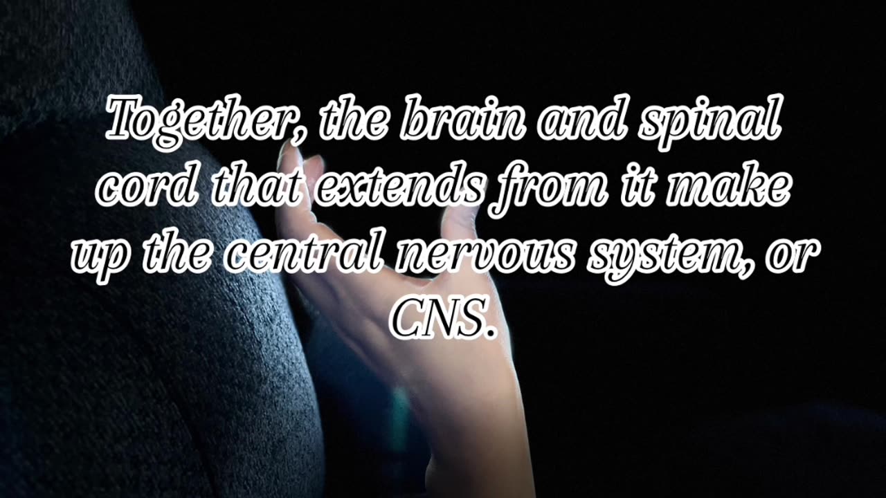 Fun facts of brain