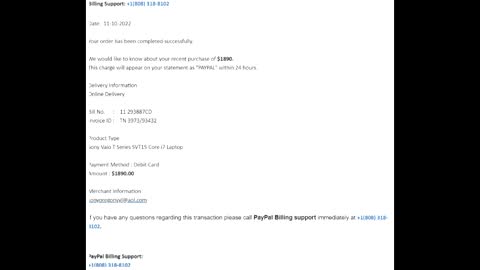 Outgoing Call To Alleged Paypal: Worker Calls Back, (808) 318-8102, 11/11/22