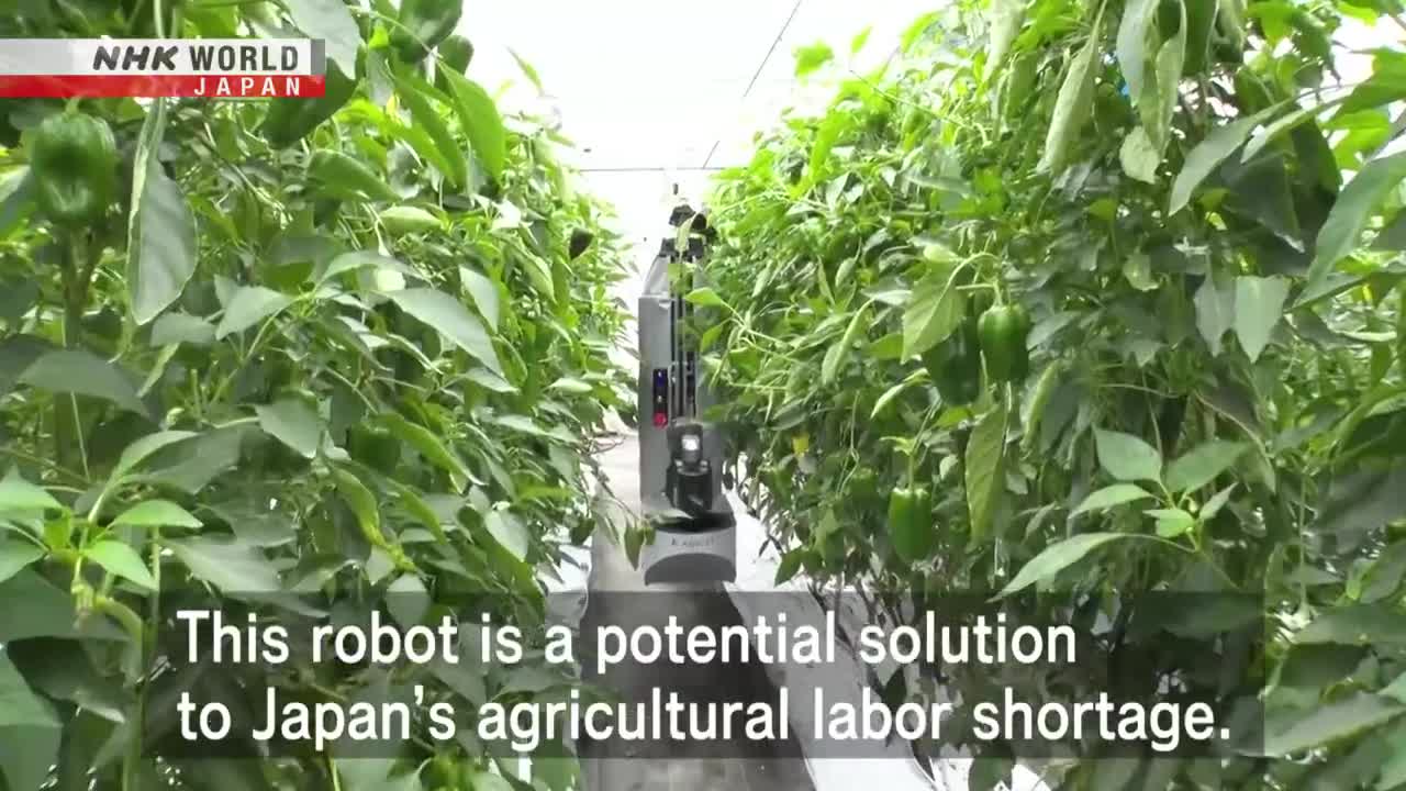 A NEW AGRICULTURE: Robot Farmer - Dig More Japan