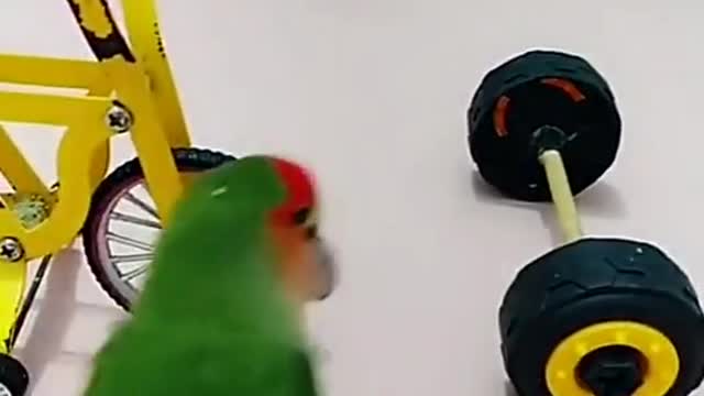 My parrot has sung a song. You can also hear his voice