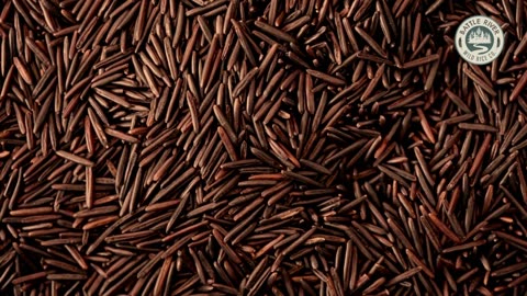 Minnesota Wild Rice for Sale – Fresh, Nutritious, and Full of Flavor