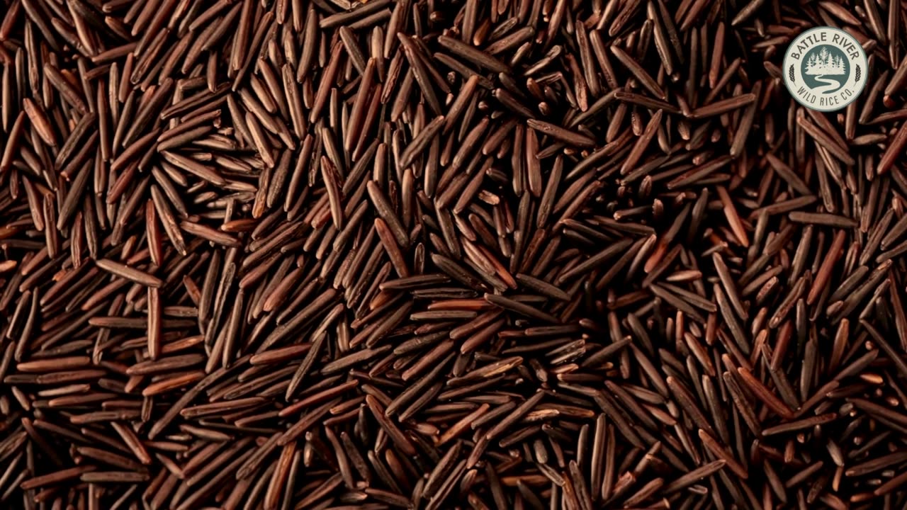 Minnesota Wild Rice for Sale – Fresh, Nutritious, and Full of Flavor