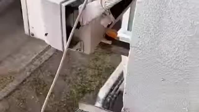 Human Sharing Food And Water With Squirrel