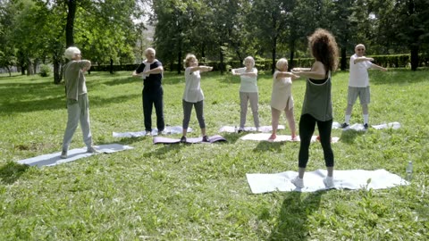 Group Of Elderly People Exercising In A Park