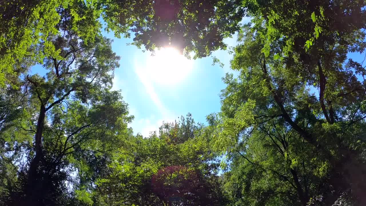 Nature
