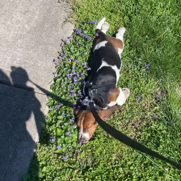 I don’t want to go back home 😂😂