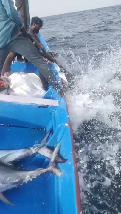 167 of the funniest video clips from Grltion TV