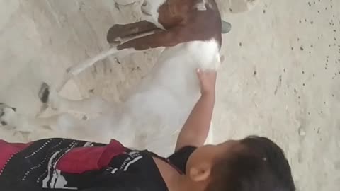 Funny Billy and babloo