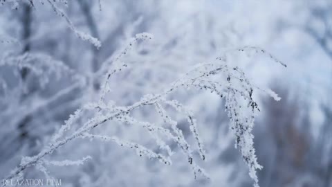 Snow Winter 4K Relaxation Film Meditation