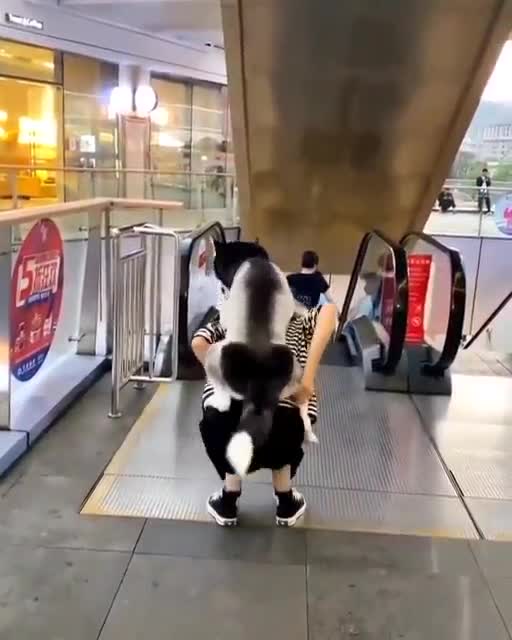 That will be so normal!Вот так нормально будет!