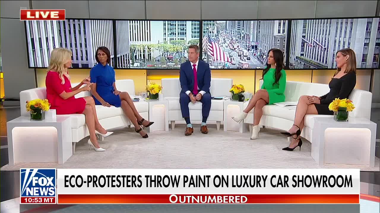 McEnany roasts climate activists: 'Do these people have jobs?'